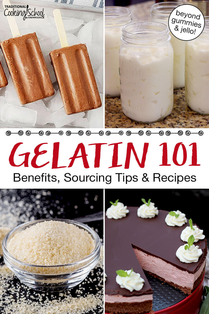 Photo collage of powdered gelatin and recipes that call for gelatin, including raw milk yogurt, peppermint cheesecake, and dairy-free fudge pops. Text overlay says: "Gelatin 101: Benefits, Sourcing Tips & Recipes (beyond gummies & jello!)"