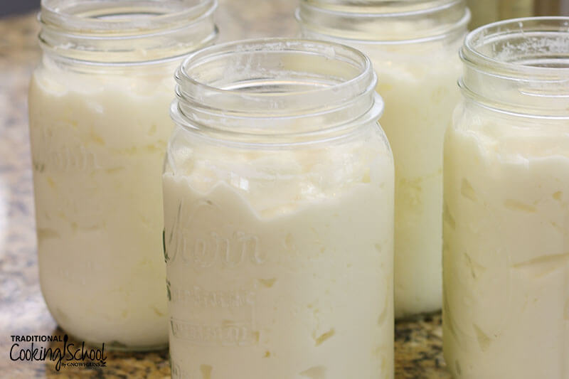 Homemade raw milk yogurt in glass quart-sized jars.