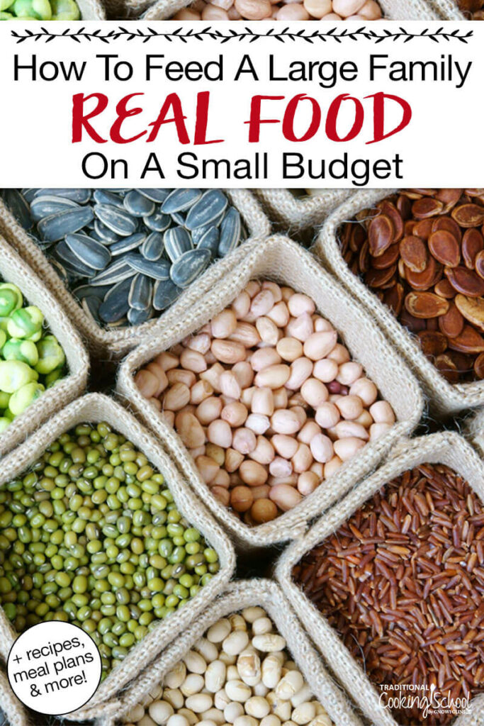 Photo of an assortment of dry beans and seeds. Text overlay says: "How to Feed a Large Family Real Food on a Small Budget (+recipes, meal plans & more!)"