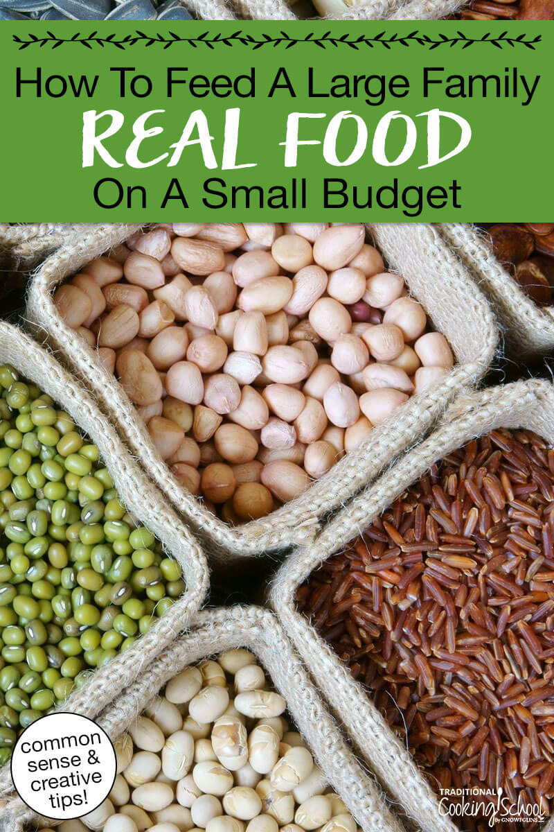 Photo of an assortment of dry beans and seeds. Text overlay says: "How to Feed a Large Family Real Food on a Small Budget (common sense & creative tips)"