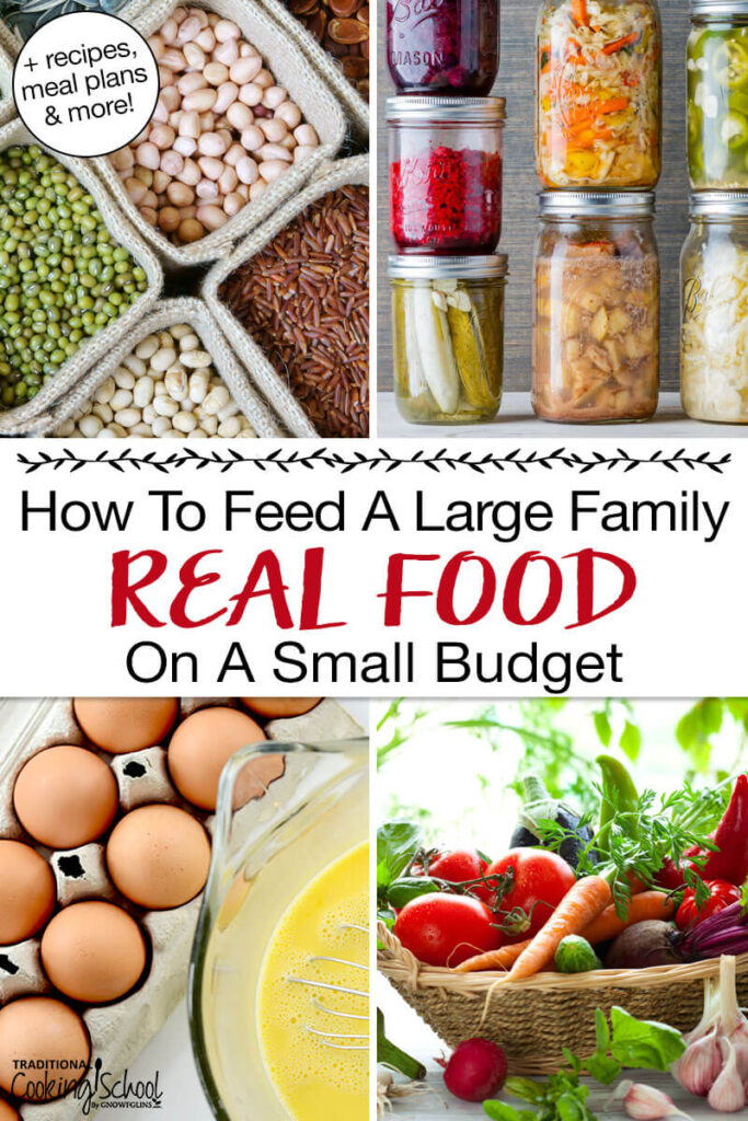 Photo collage of nutritious foods: dry beans and seeds, homemade ferments in glass jars, eggs, and a basket of fresh produce. Text overlay says: "How to Feed a Large Family Real Food on a Small Budget (+recipes, meal plans & more!)"