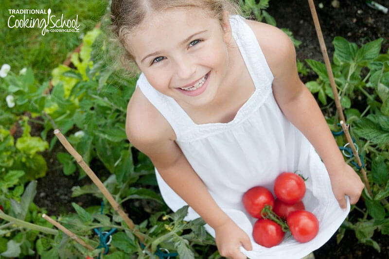 Young smiling girl in a white dress, seated in a garden, with her lap full of tomatoes.