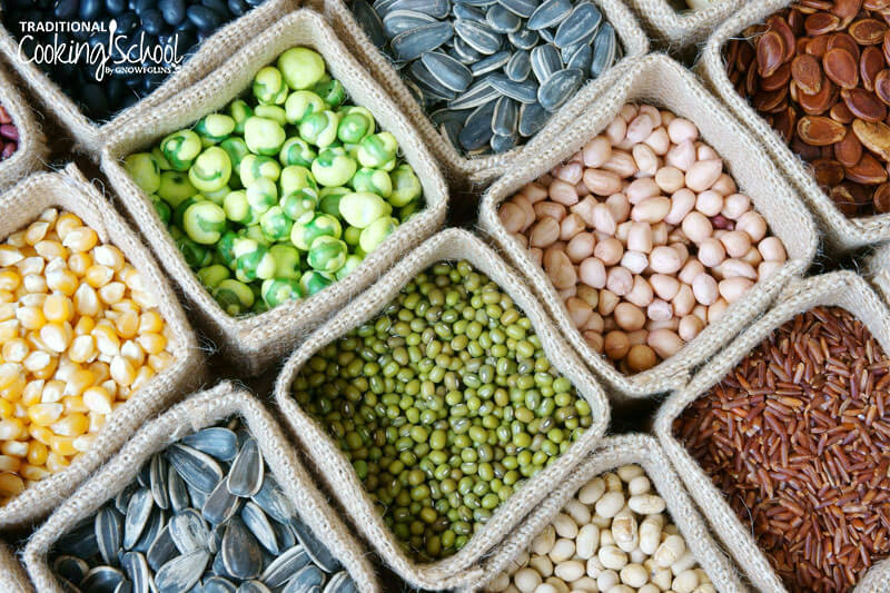 Overhead shot of varoius dried beans, grains, and seeds.