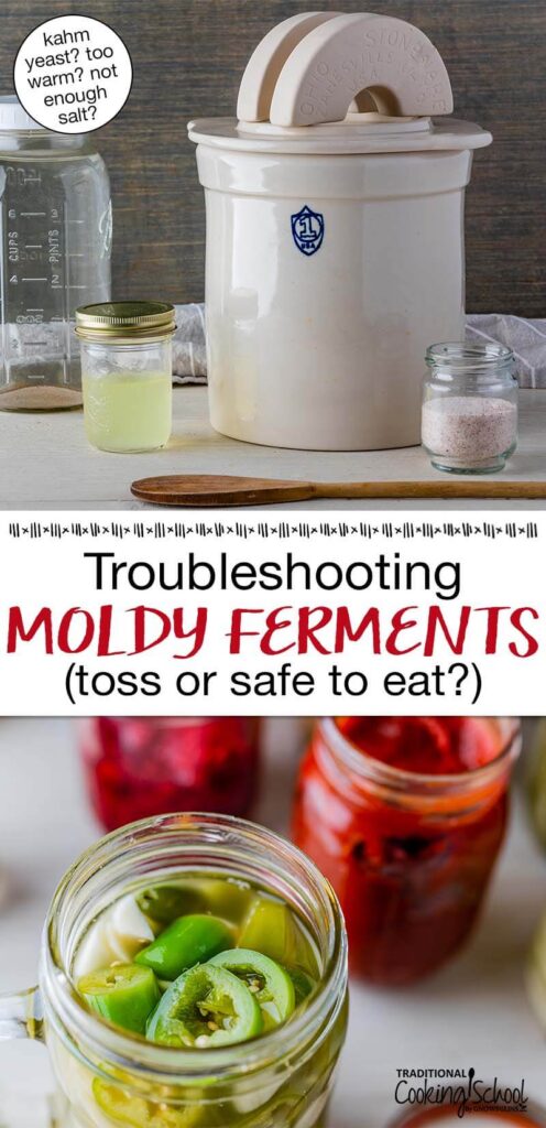 Photo collage of fermenting equipment, including fermenting crock, salt, and whey, and fermenting jalapenos in a small jar. Text overlay says: "Troubleshooting Moldy Ferments (toss or safe to eat?) (kahm yeast? too warm? not enough salt?)"