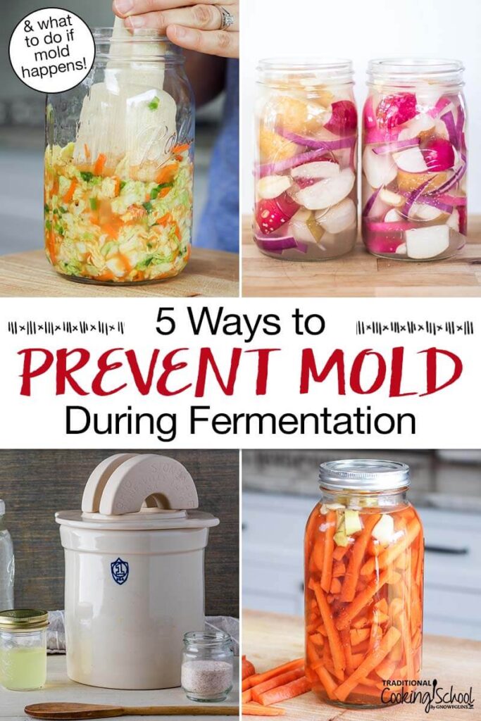 Photo collage of kimchi, pickled radishes, fermented carrots sticks, and a fermenting crock with fermenting weights next to sea salt and whey for fermenting. Text overlay says: "5 Ways to Prevent Mold During Fermentation (& what to do if mold happens)"