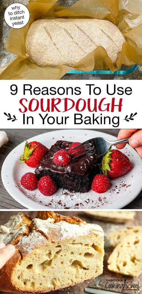 Photo collage of sourdough baked goods. Text overlay says: "9 Reasons to Use Sourdough in Your Baking (why to ditch instant yeast!)"