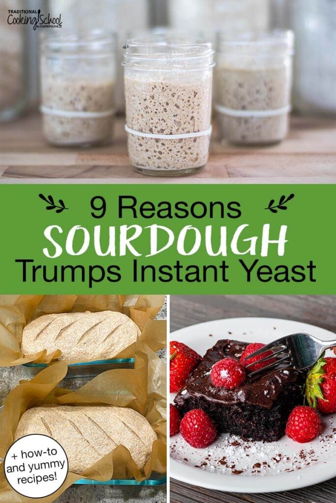 Photo collage of sourdough baked goods and sourdough starter in small glass jars. Text overlay says: "9 Reasons Sourdough Trumps Instant Yeast (+how-to and yummy recipes!)"