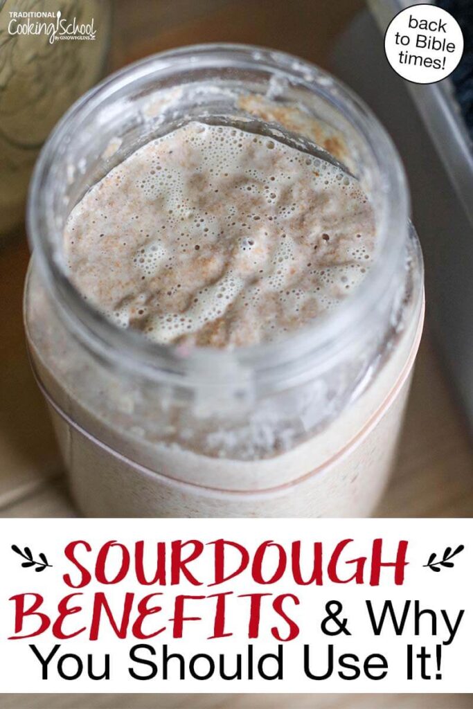 Overhead shot of bubbly sourdough starter in a quart-sized glass jar. Text overlay says: "Sourdough Benefits & Why You Should Use It! (back to Bible times!)"