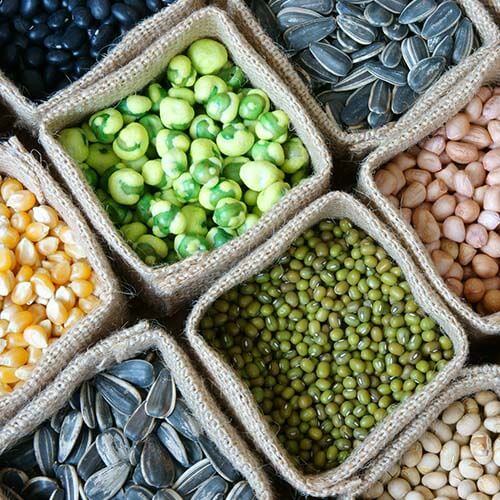 Overhead shot of dry beans and seeds.