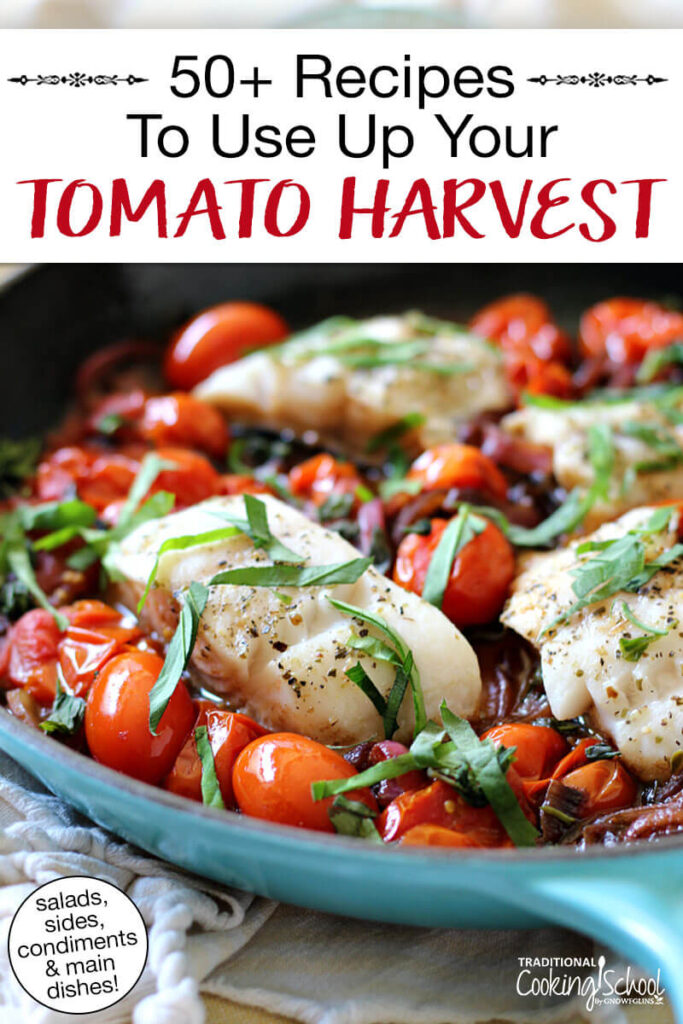 Photo of skillet cod with tomatoes and fresh basil. Text overlay says: "50+ Tomato Recipes To Use Up Your Tomato Harvest (salads, sides, condiments & main dishes)"
