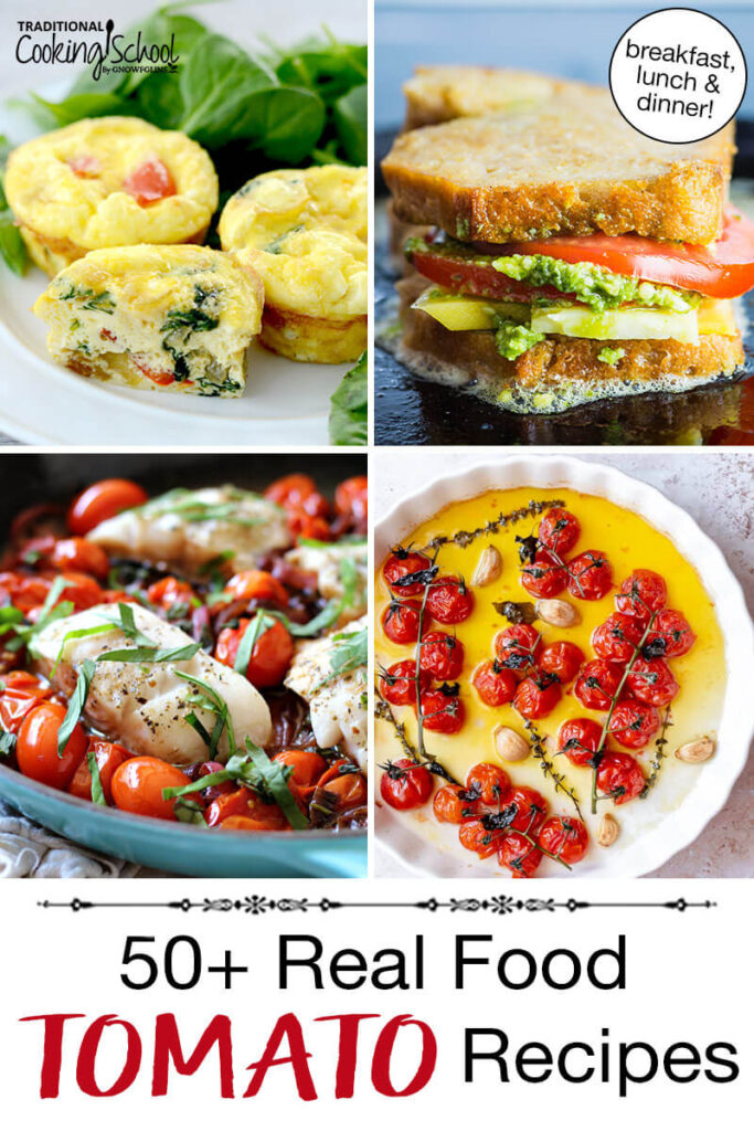 Photo collage of skillet cod with tomatoes and basil, tomato pesto grilled cheese sandwich, mini frittatas, and cherry tomato confit. Text overlay says: "50+ Real Food Tomato Recipes (breakfast, lunch & dinner)"