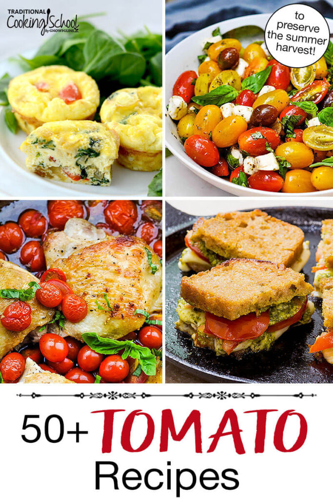 Photo collage of roasted chicken with halved cherry tomatoes, a tomato pesto grilled cheese sandwich, mini frittatas, and caprese salad. Text overlay says: "50+ Tomato Recipes (to preserve the summer harvest)"