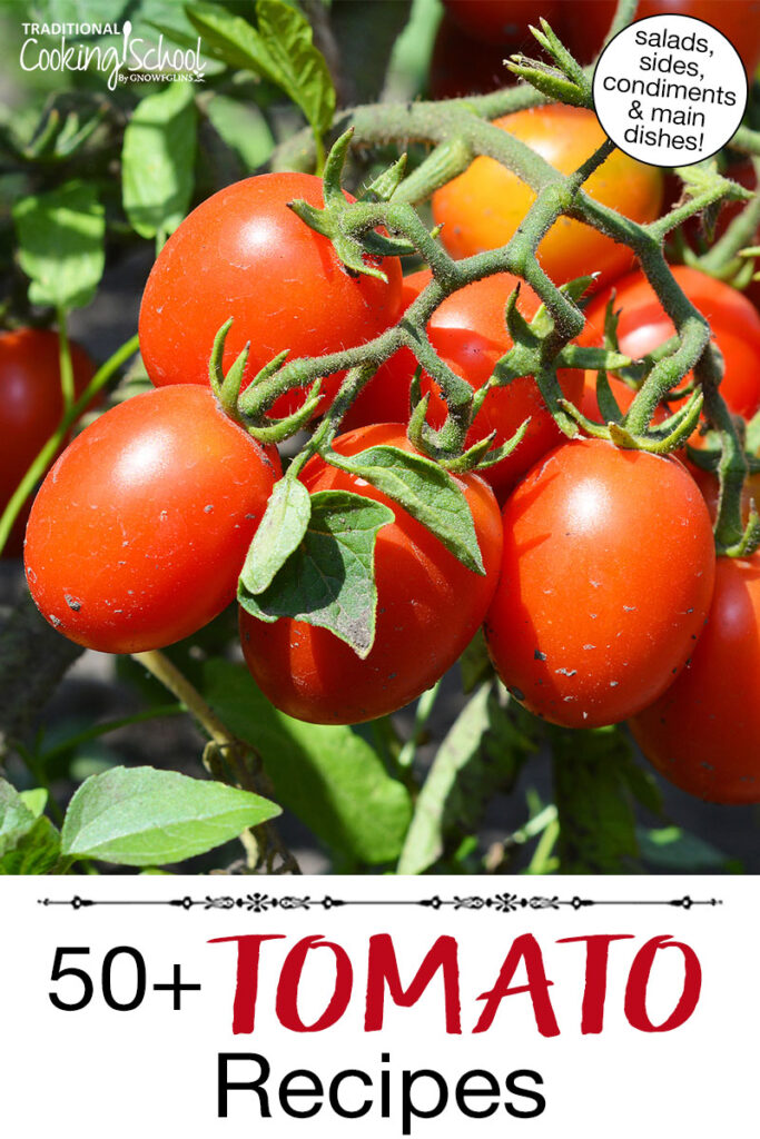 Photo of ripe cherry tomatoes on the vine. Text overlay says: "50+ Tomato Recipes (salads, sides, condiments & main dishes)"