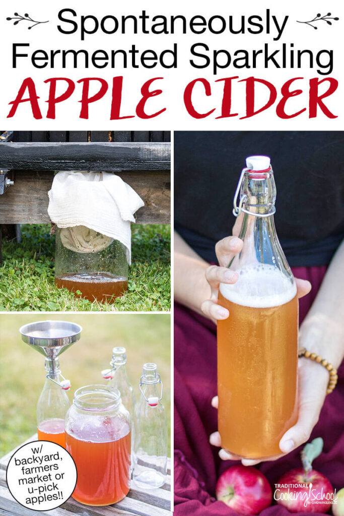 Photo collage of the process of pressing apples into cider and fermenting them into sparkling cider. Text overlay says: "Spontaneously Fermented Sparkling Apple Cider (w/ backyard, farmers market or u-pick apples!)"