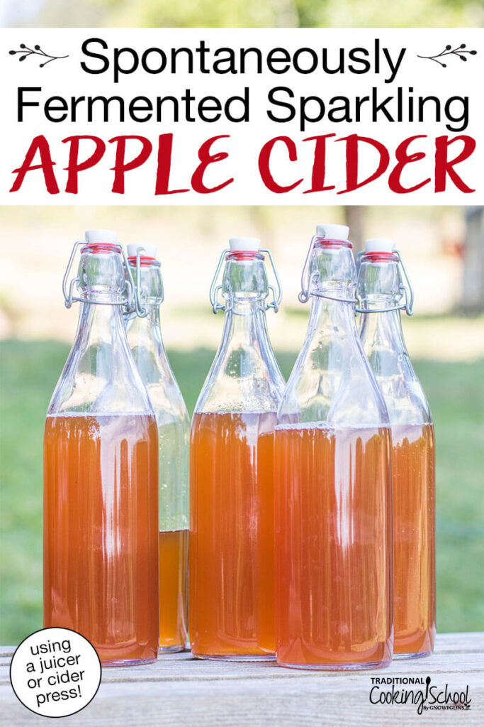 Six swing-top glass bottles filled with fresh pressed apple cider. Text overlay says: "Spontaneously Fermented Sparkling Apple Cider (using a juicer or cider press!)"