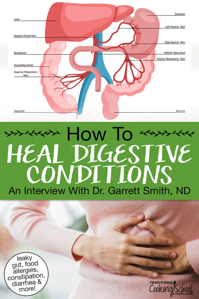Photo collage of a woman in pain holding her stomach, and a diagram of the liver, intestines, and blood vessels which connect them. Text overlay says: "How to Heal Digestive Conditions: An Interview With Dr. Garrett Smith, ND (Leaky Gut, food allergies, constipation, diarrhea & more)"