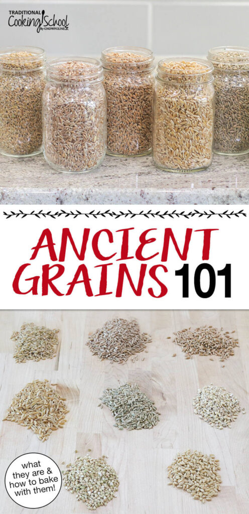Photo collage of multiple ancient grains lined up on the counter in mason jars and loose on a cutting board. Text overlay says: "Ancient Grains 101 (what they are & how to bake with them"
