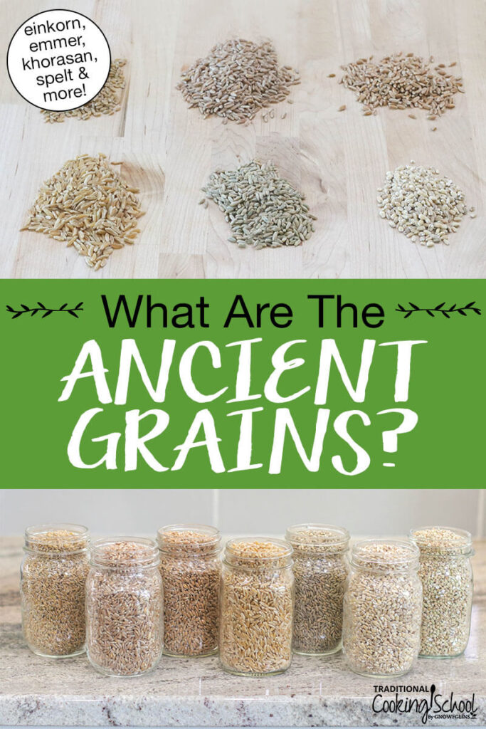 Photo collage of multiple ancient grains lined up on the counter in mason jars and loose on a cutting board. Text overlay says: "What are the Ancient Grains? (einkorn, emmer, khorasan, spelt & more)"