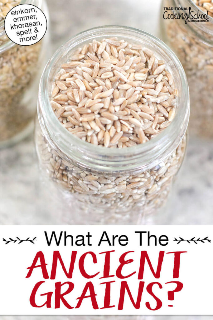 Photo of emmer, an ancient grain, in a glass mason jar. Text overlay says: "What are the Ancient Grains? (einkorn, emmer, khorasan, spelt & more)"