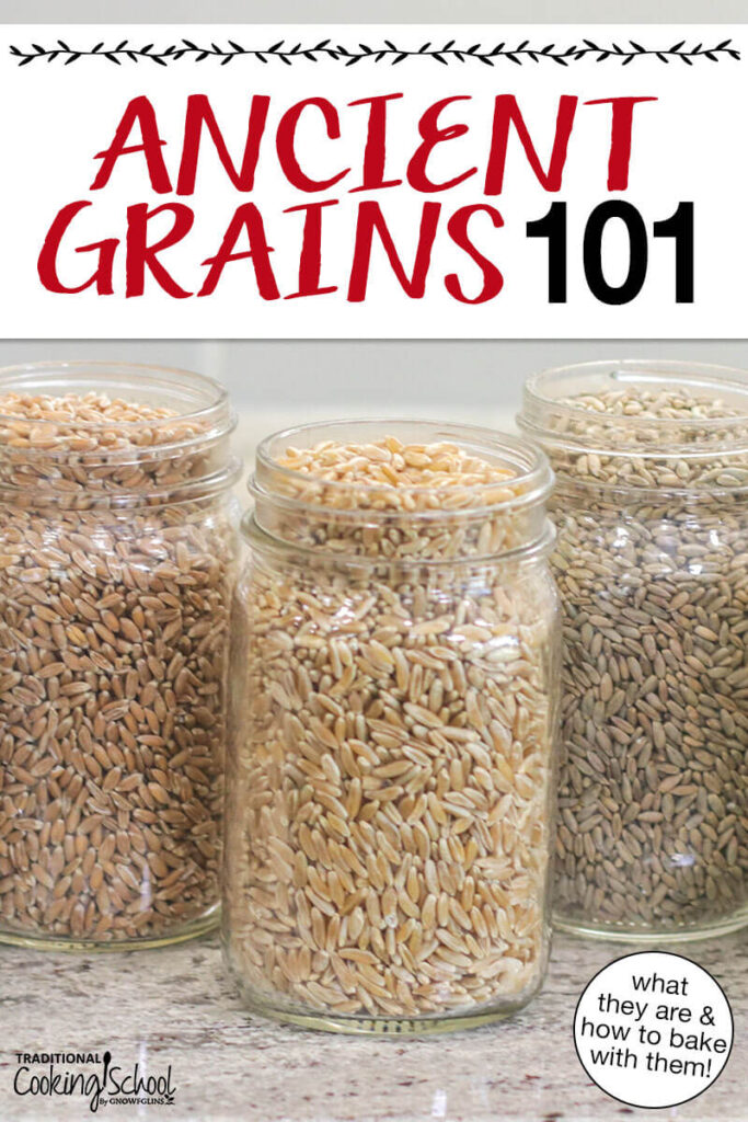 Photo of multiple ancient grains lined up on the counter in mason jars. Text overlay says: "Ancient Grains 101 (what they are & how to bake with them"