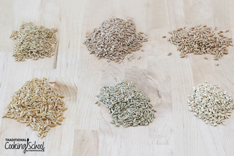 Photo of multiple ancient grains loose on a cutting board. The grains include: einkorn, emmer, spelt, khorasan, rye, and barley