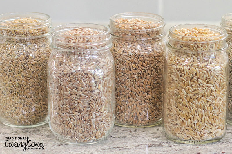 Photo of multiple ancient grains lined up on the counter in mason jars.