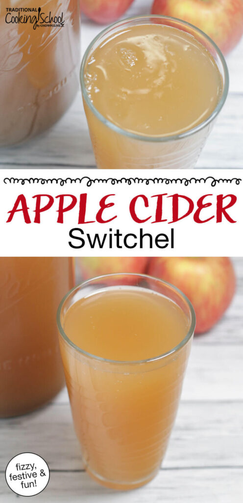 Photo collage of a glass of apple cider switchel with apples in the background. Text overlay says: "Apple Cider Switchel (fizzy, festive & fun!)"