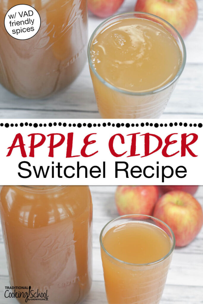 Photo collage of a glass of apple cider switchel with apples in the background. Text overlay says: "Apple Cider Switchel Recipe (w/ VAD friendly spices)"