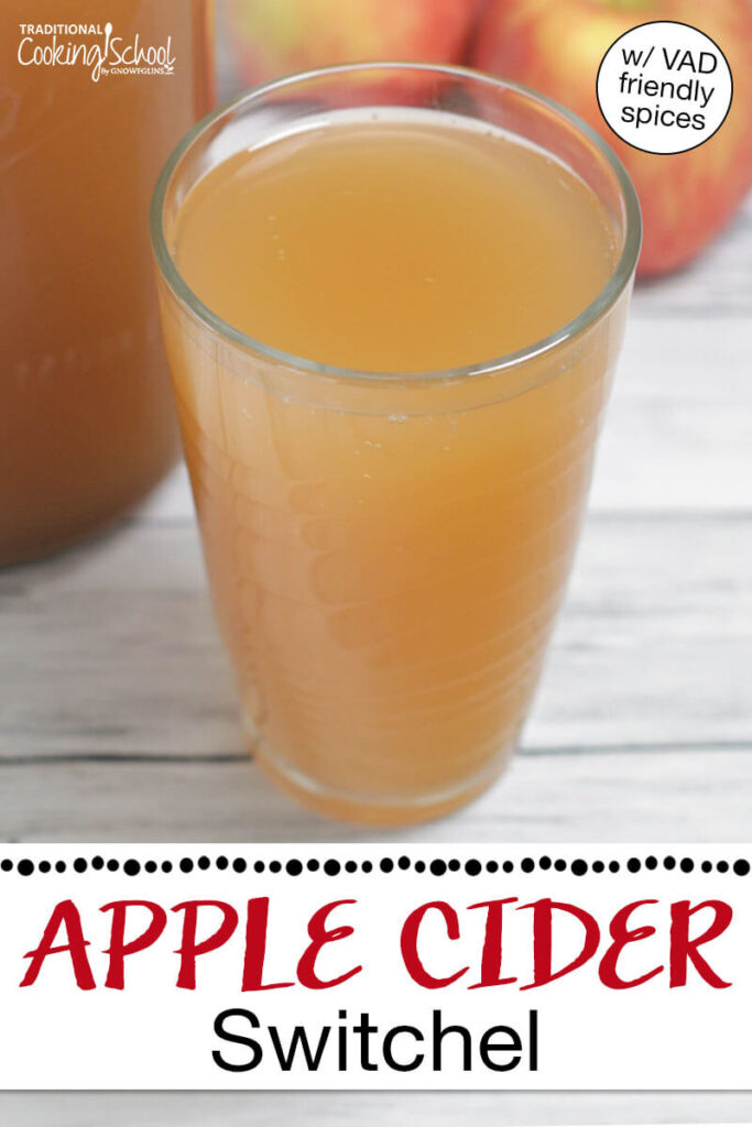Photo of a glass of apple cider switchel with apples in the background. Text overlay says: "Apple Cider Switchel (w/ VAD friendly spices)"